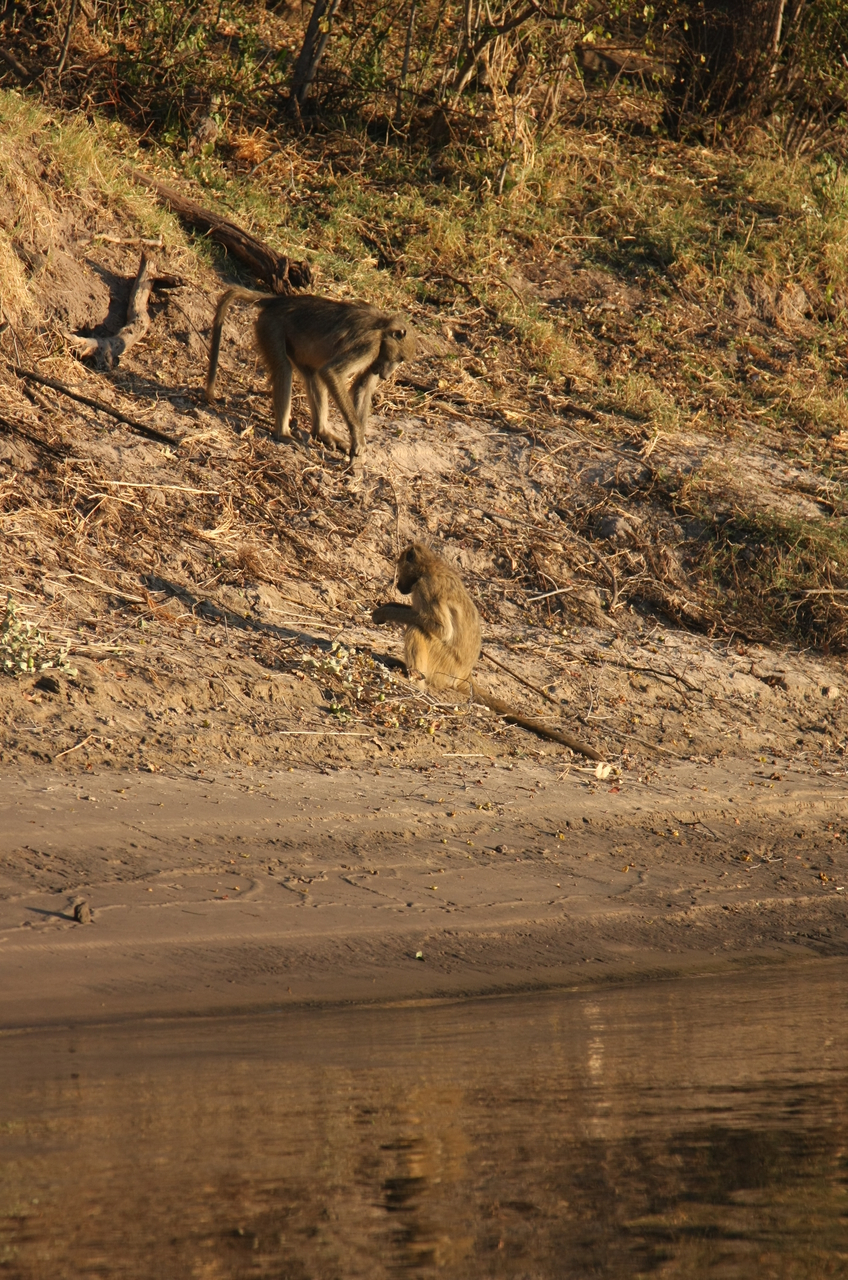 [33806] 2016_07_04_11_20_12_Africa_Canon_EOS_40D_IMG__05852.jpg