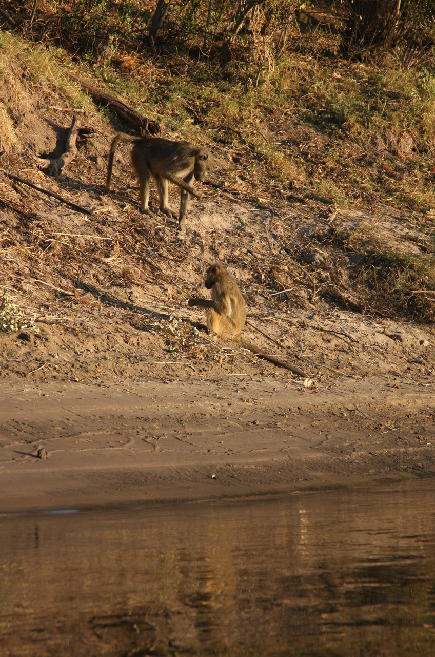 [33811] 2016_07_04_11_20_12_Africa_Canon_EOS_40D_IMG__13301.jpg