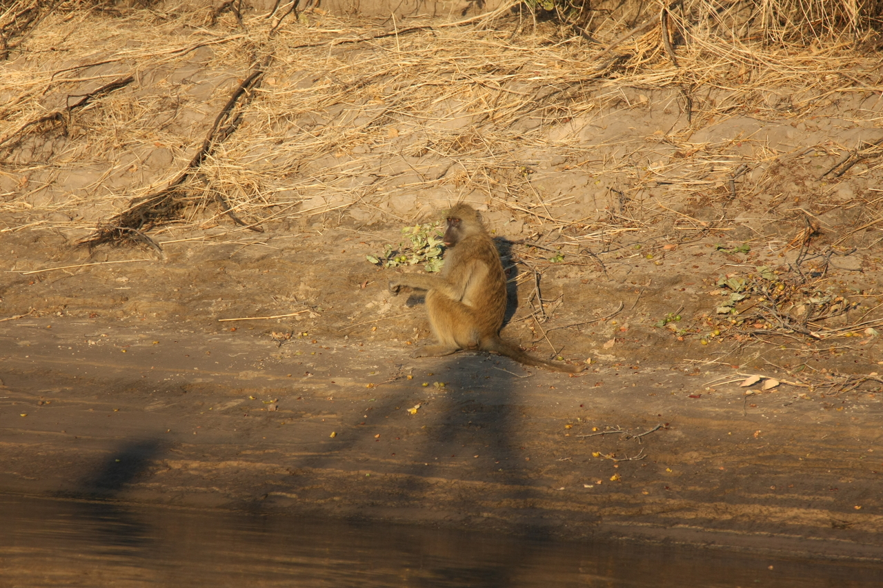 [33835] 2016_07_04_11_22_35_Africa_Canon_EOS_40D_IMG__00230.jpg