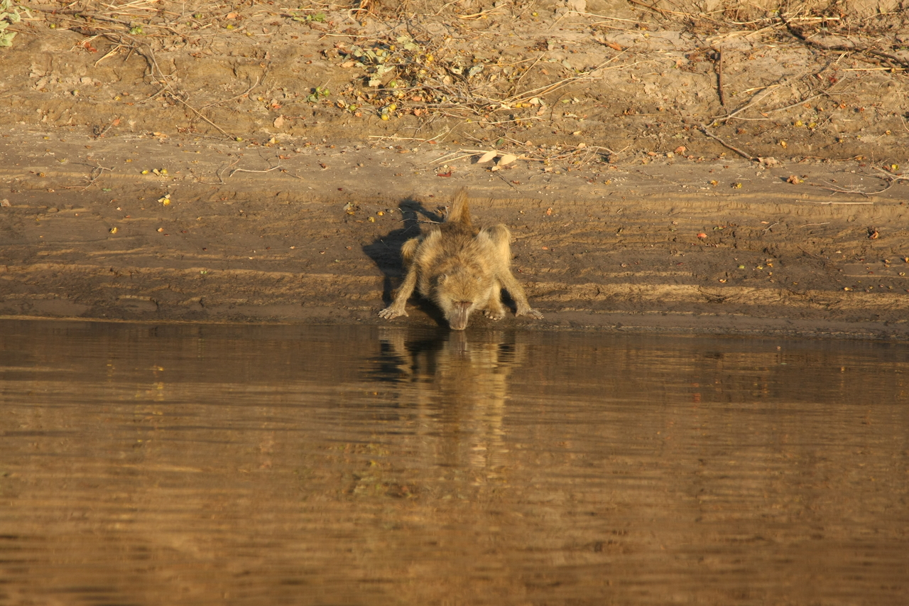 [33876] 2016_07_04_11_22_56_Africa_Canon_EOS_40D_IMG__00244.jpg