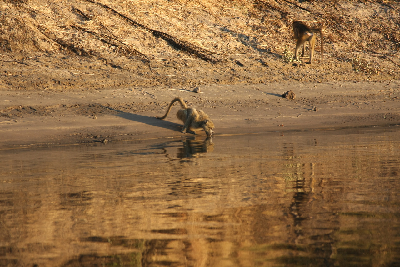 [34058] 2016_07_04_11_30_40_Africa_Canon_EOS_40D_IMG__05944.jpg
