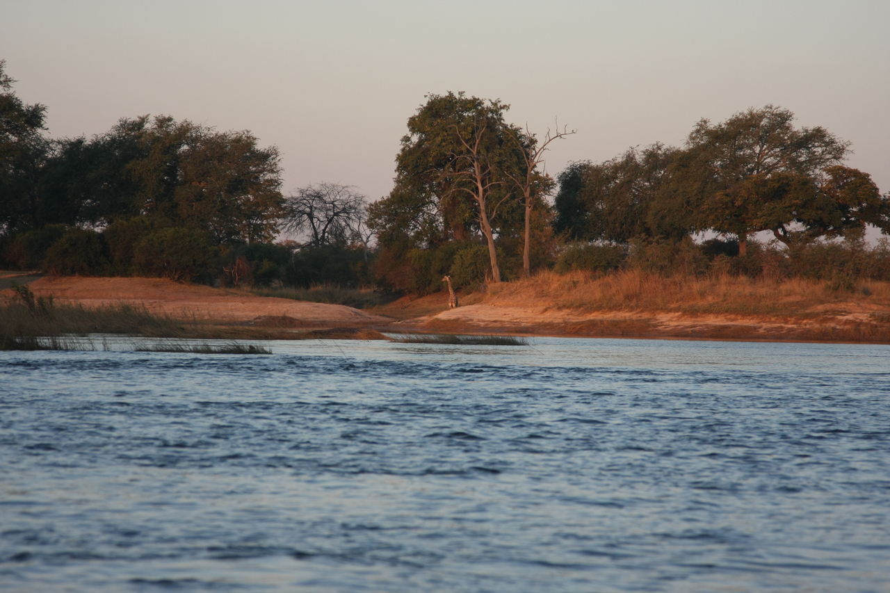 [34121] 2016_07_04_11_38_06_Africa_Canon_EOS_40D_IMG__00331.jpg