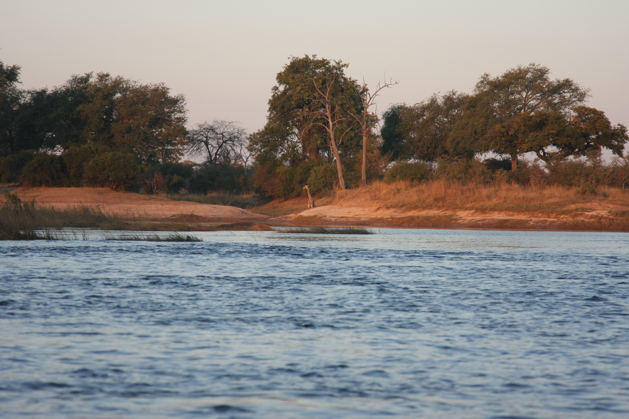[34126] 2016_07_04_11_38_06_Africa_Canon_EOS_40D_IMG__05968.jpg