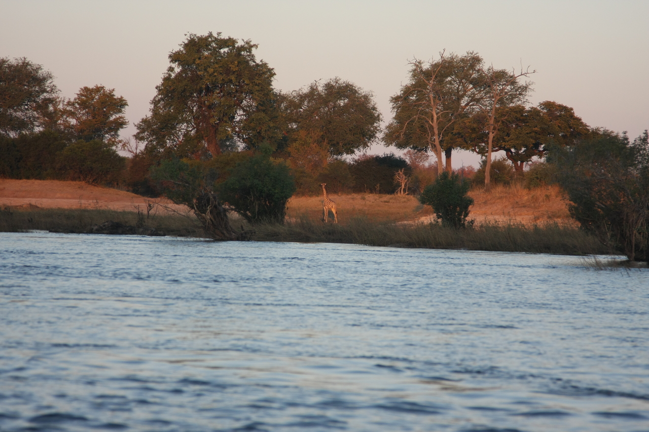 [34139] 2016_07_04_11_39_01_Africa_Canon_EOS_40D_IMG__05973.jpg