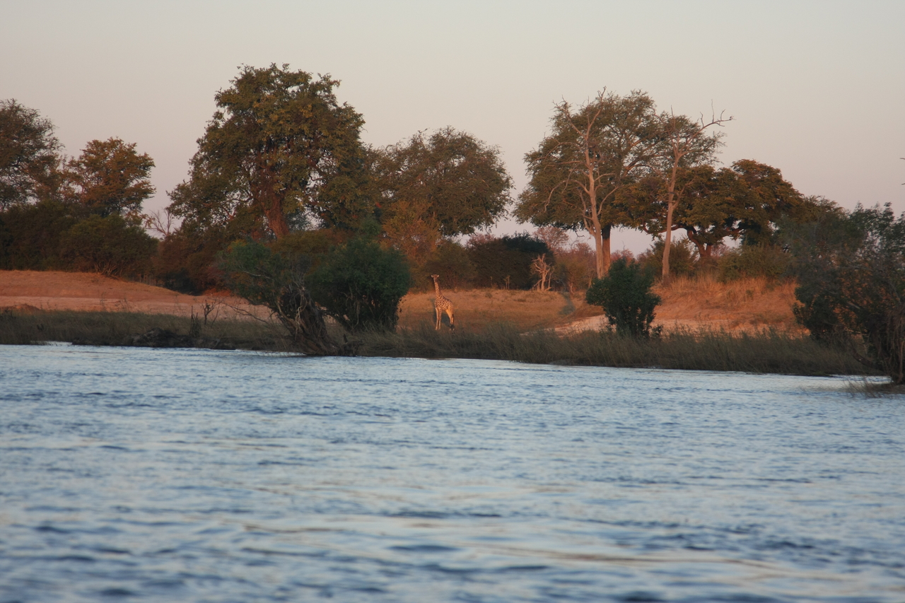 [34141] 2016_07_04_11_39_01_Africa_Canon_EOS_40D_IMG__05975.jpg