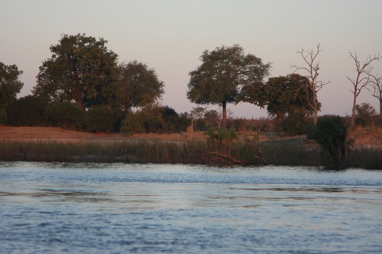 [34163] 2016_07_04_11_39_49_Africa_Canon_EOS_40D_IMG__05981.jpg