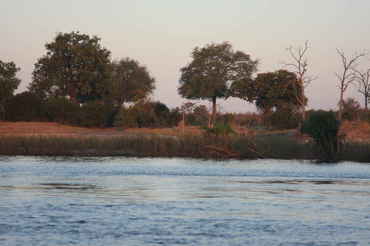 [34165] 2016_07_04_11_39_49_Africa_Canon_EOS_40D_IMG__05984.jpg