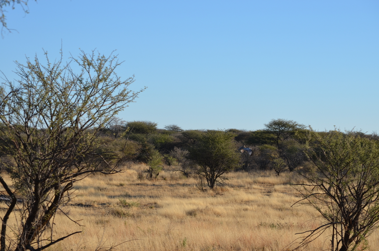 [4476] 2016_06_22_22_38_22_Africa_NIKON_D5100_IMG__00010.jpg