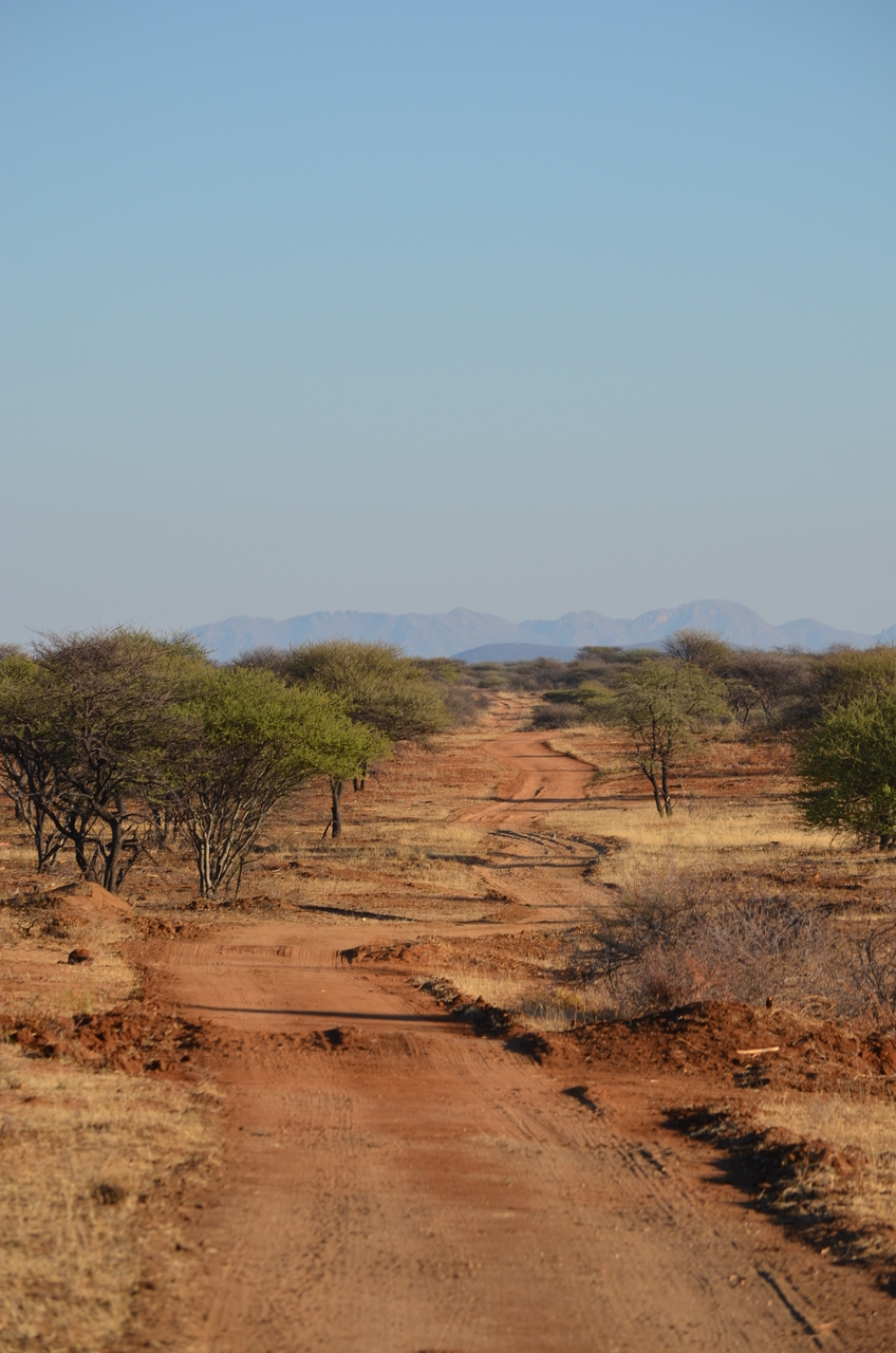 [4480] 2016_06_22_22_48_49_Africa_NIKON_D5100_IMG__00012.jpg