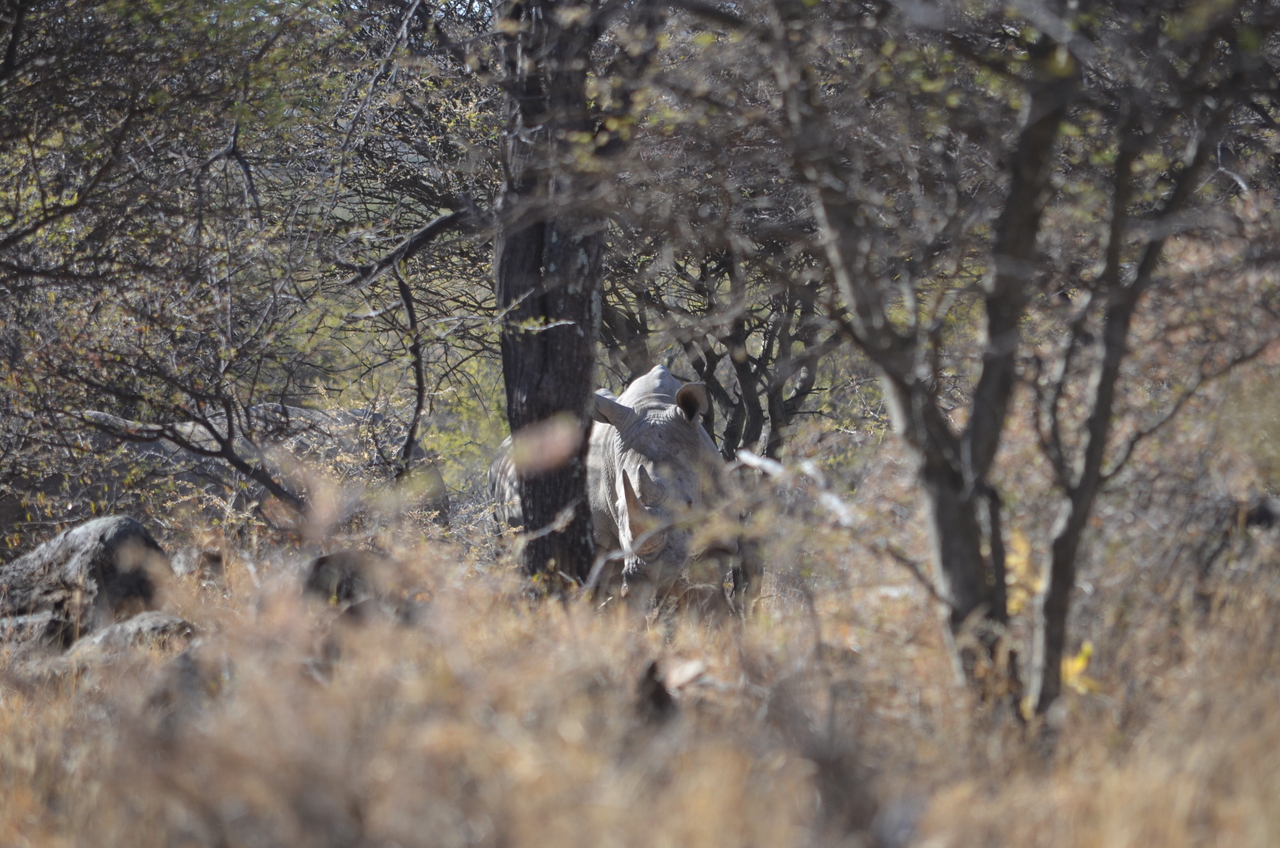 [4493] 2016_06_23_00_35_37_Africa_NIKON_D5100_IMG__04640.jpg