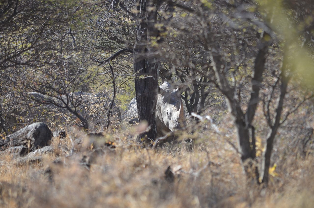 [4494] 2016_06_23_00_35_48_Africa_NIKON_D5100_IMG__00019.jpg