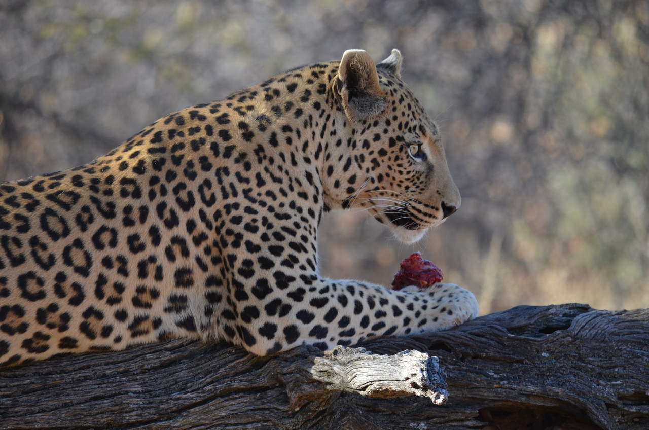 [5059] 2016_06_23_06_30_15_Africa_NIKON_D5100_IMG__04682.jpg