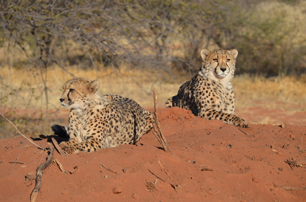 [5129] 2016_06_23_07_02_50_Africa_NIKON_D5100_IMG__04716.jpg
