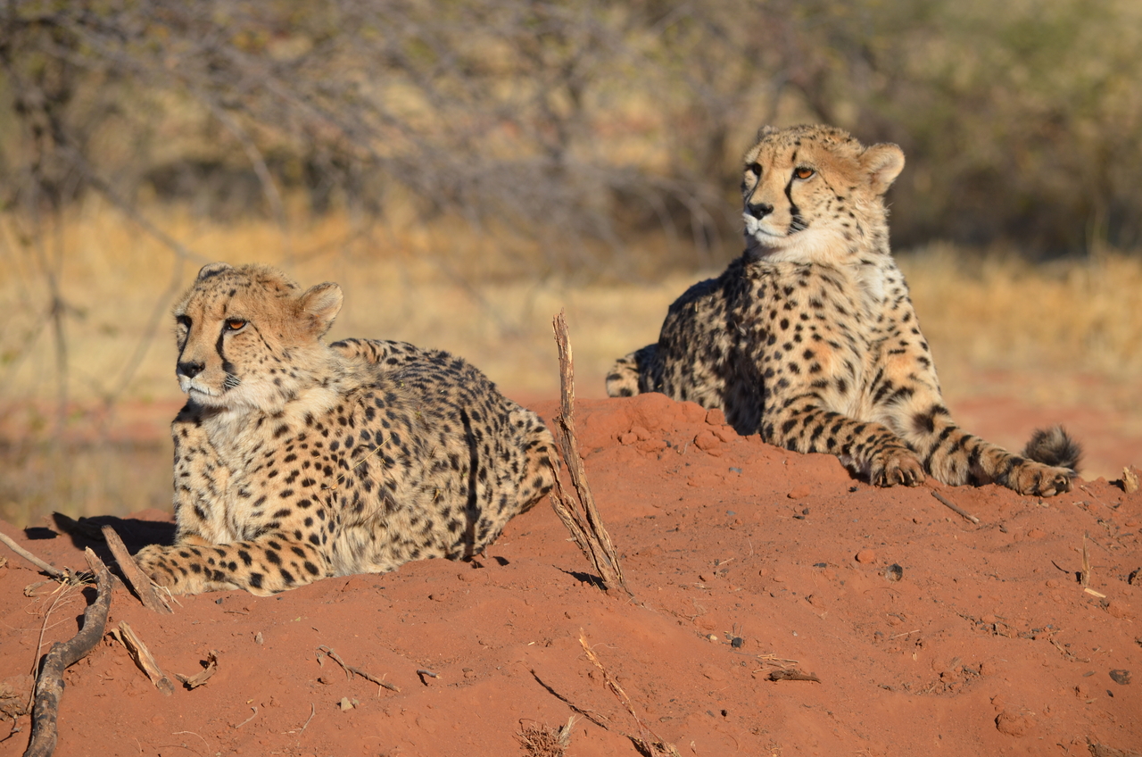 [5134] 2016_06_23_07_06_12_Africa_NIKON_D5100_IMG__00097.jpg