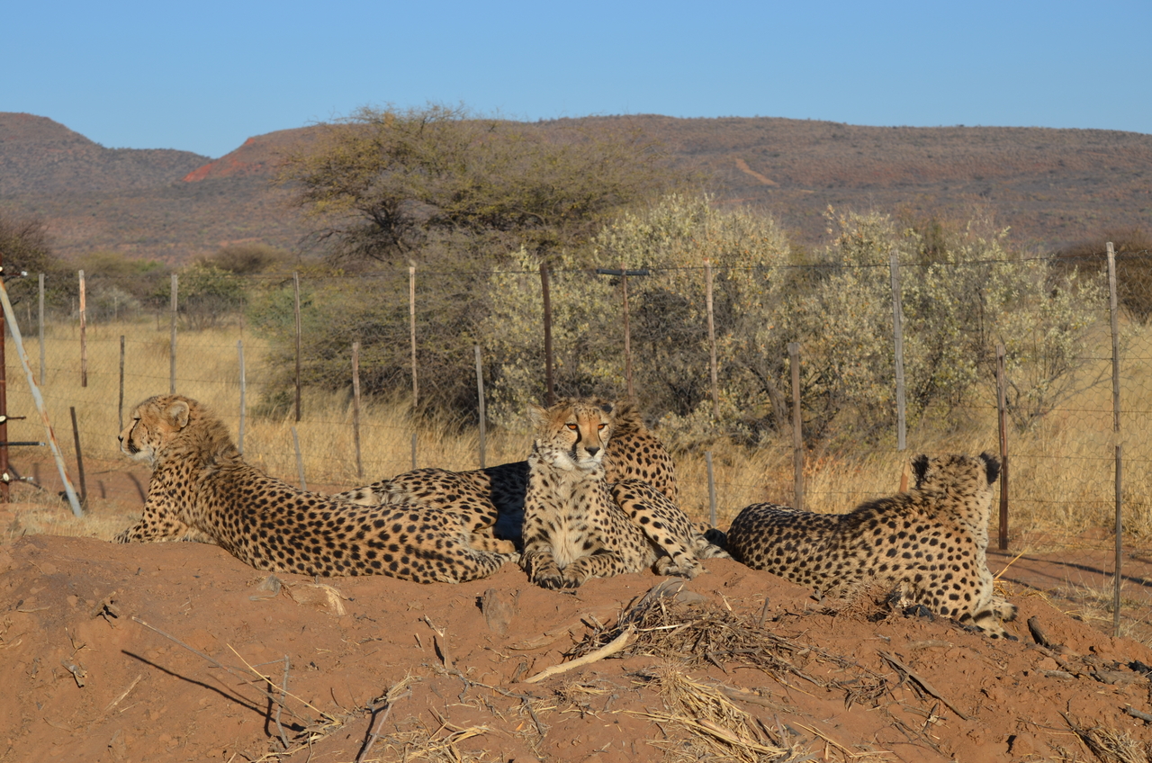 [5146] 2016_06_23_07_29_48_Africa_NIKON_D5100_IMG__00103.jpg