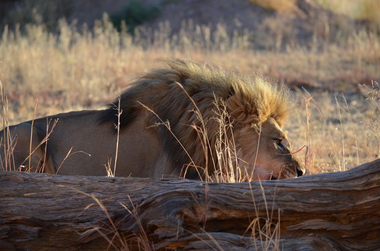 [5167] 2016_06_23_07_54_01_Africa_NIKON_D5100_IMG__04732.jpg