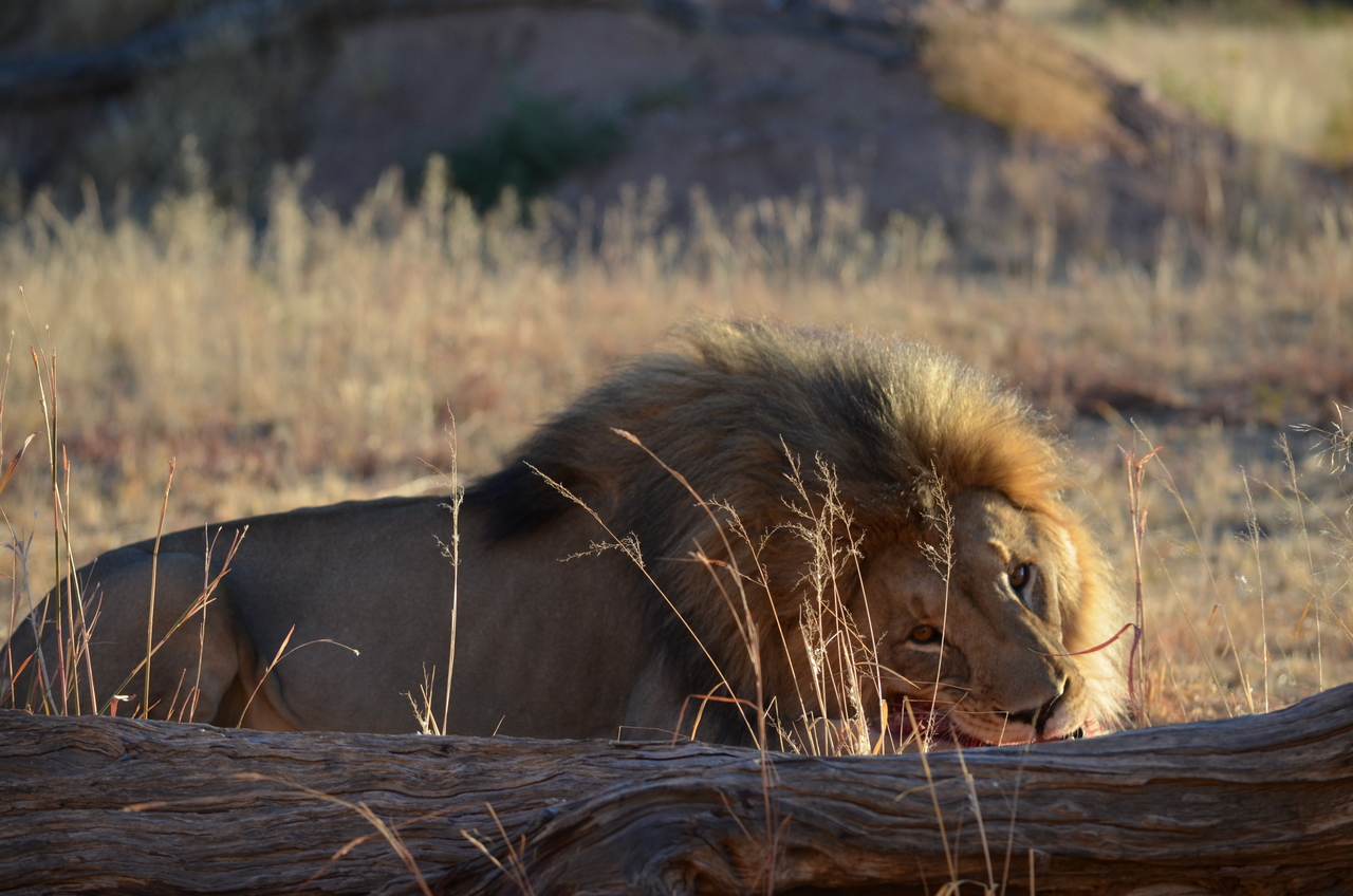 [5171] 2016_06_23_07_54_23_Africa_NIKON_D5100_IMG__04734.jpg