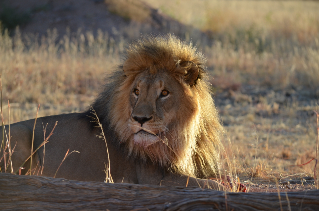 [5178] 2016_06_23_07_57_20_Africa_NIKON_D5100_IMG__00116.jpg