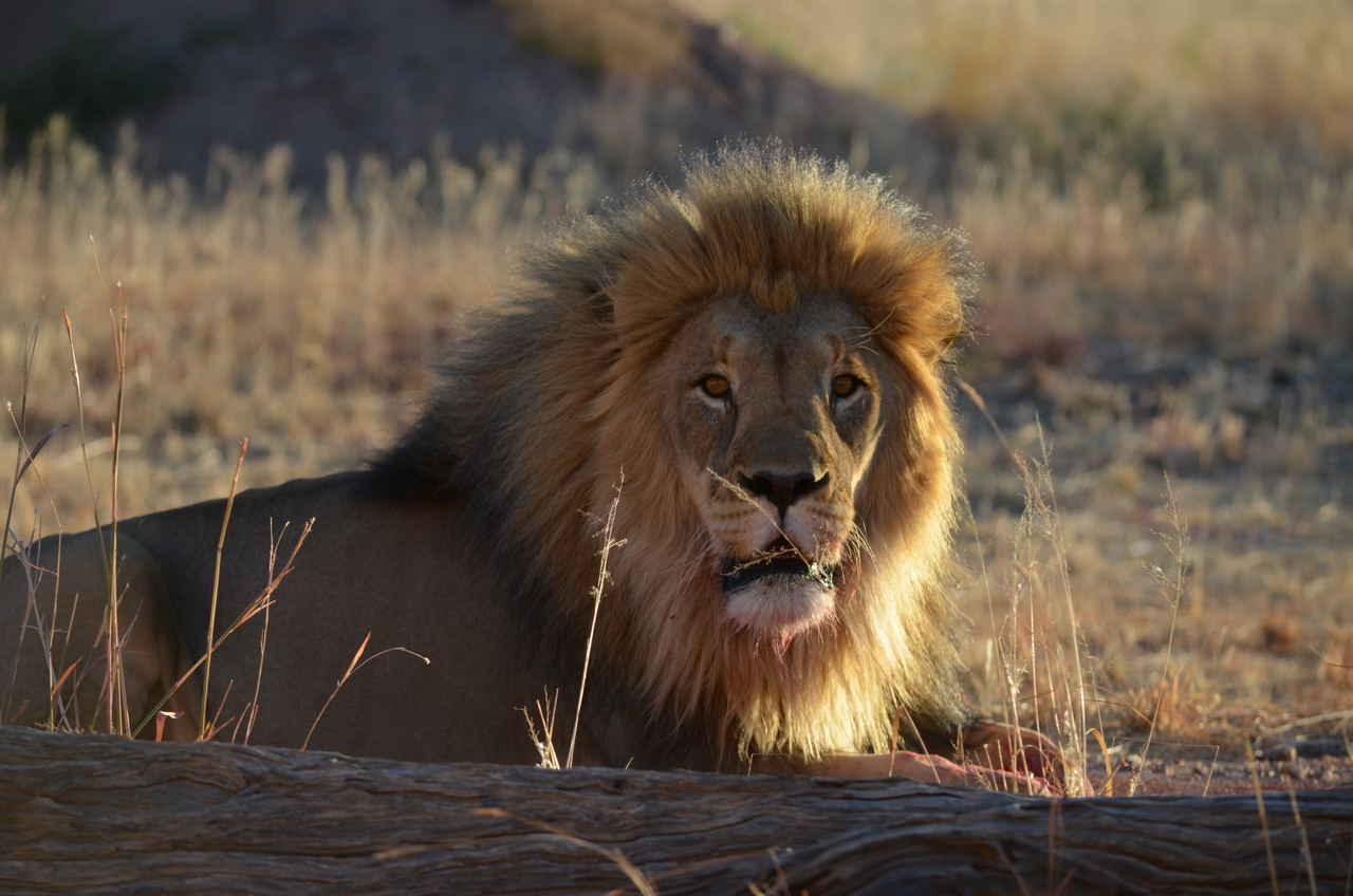 [5187] 2016_06_23_07_57_27_Africa_NIKON_D5100_IMG__04742.jpg
