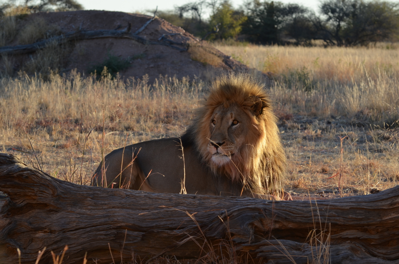 [5202] 2016_06_23_08_01_04_Africa_NIKON_D5100_IMG__00128.jpg