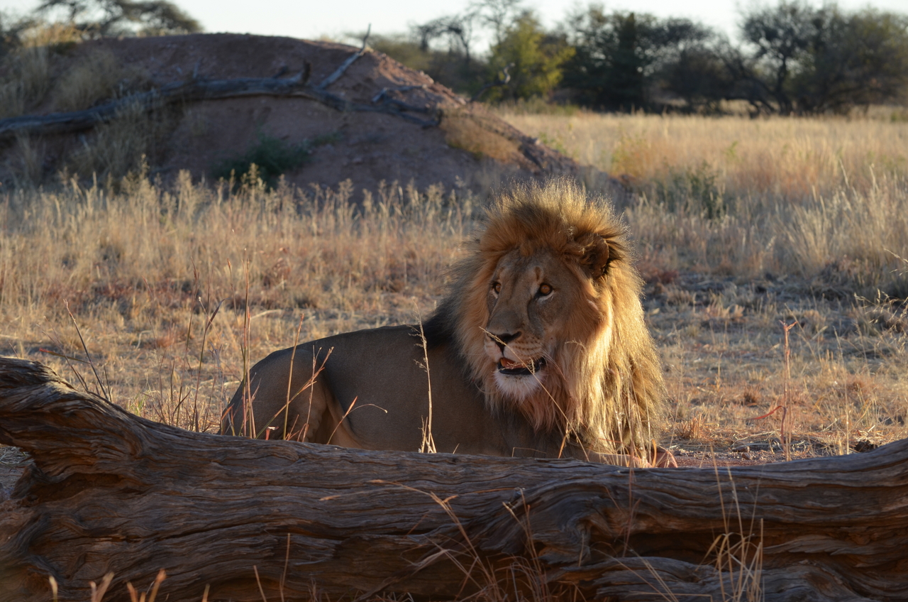 [5205] 2016_06_23_08_01_05_Africa_NIKON_D5100_IMG__04751.jpg
