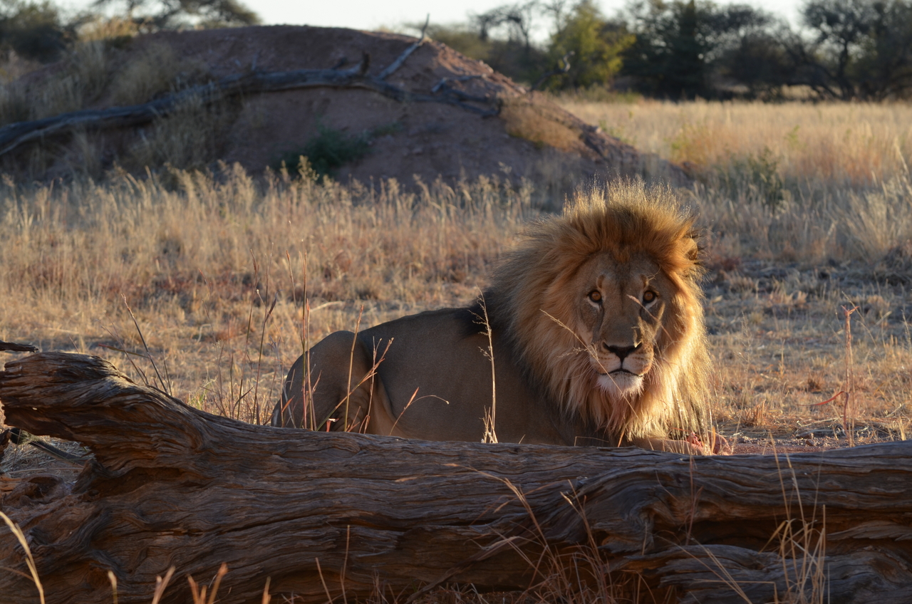 [5208] 2016_06_23_08_01_55_Africa_NIKON_D5100_IMG__00131.jpg