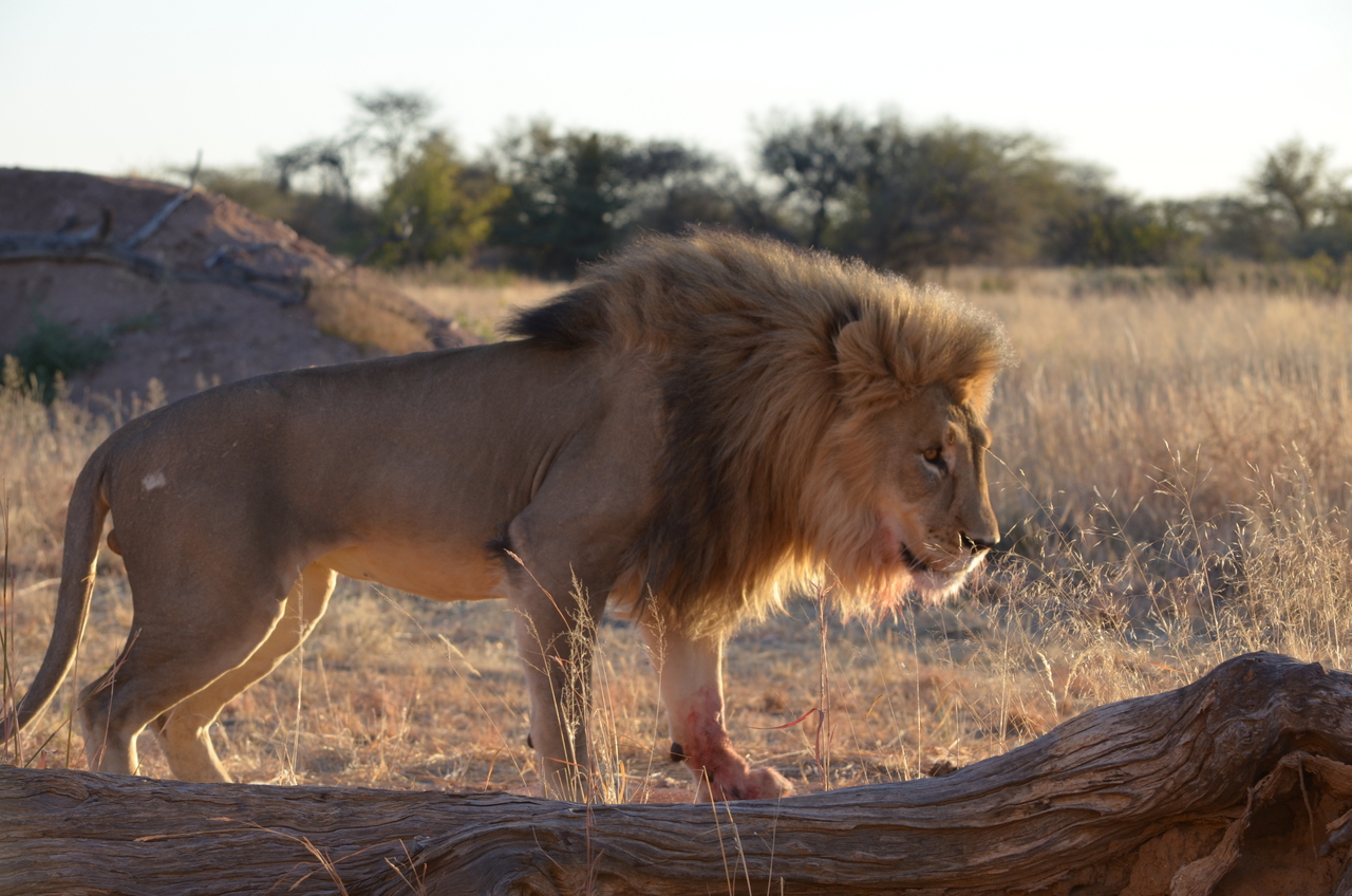 [5214] 2016_06_23_08_02_14_Africa_NIKON_D5100_IMG__00134.jpg
