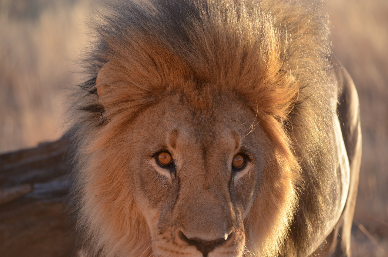 [5220] 2016_06_23_08_02_45_Africa_NIKON_D5100_IMG__00137.jpg