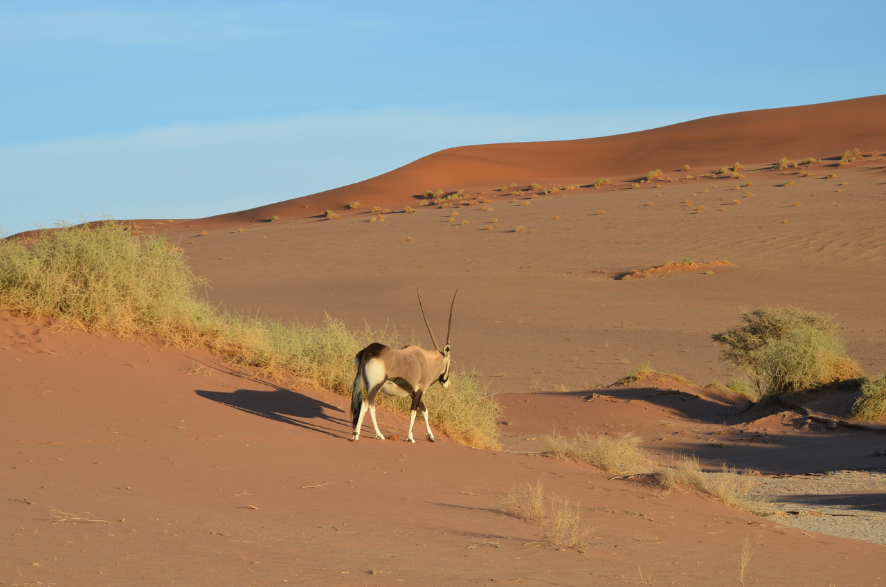 [14389] 2016_06_24_22_39_52_Africa_NIKON_D5100_IMG__00200.jpg