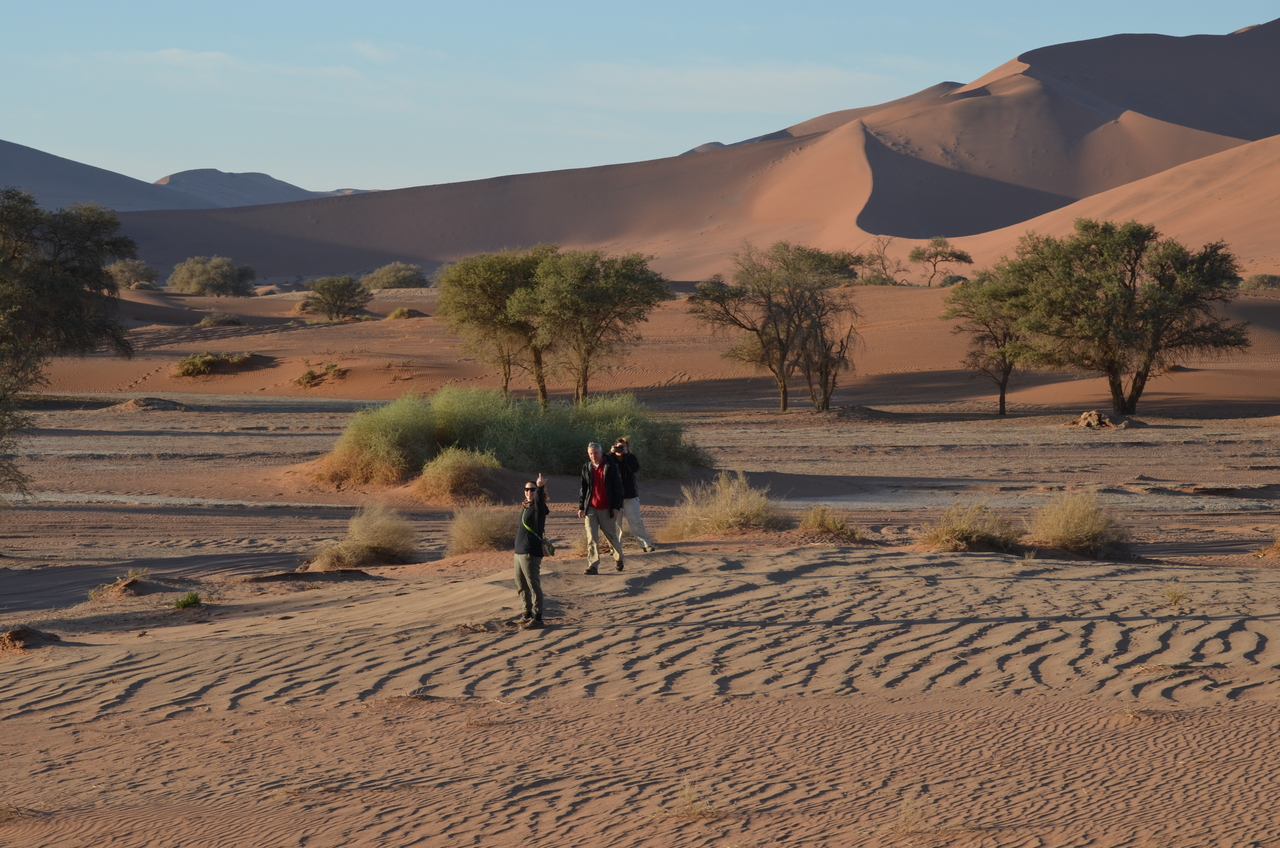 [14397] 2016_06_24_22_41_58_Africa_NIKON_D5100_IMG__00204.jpg