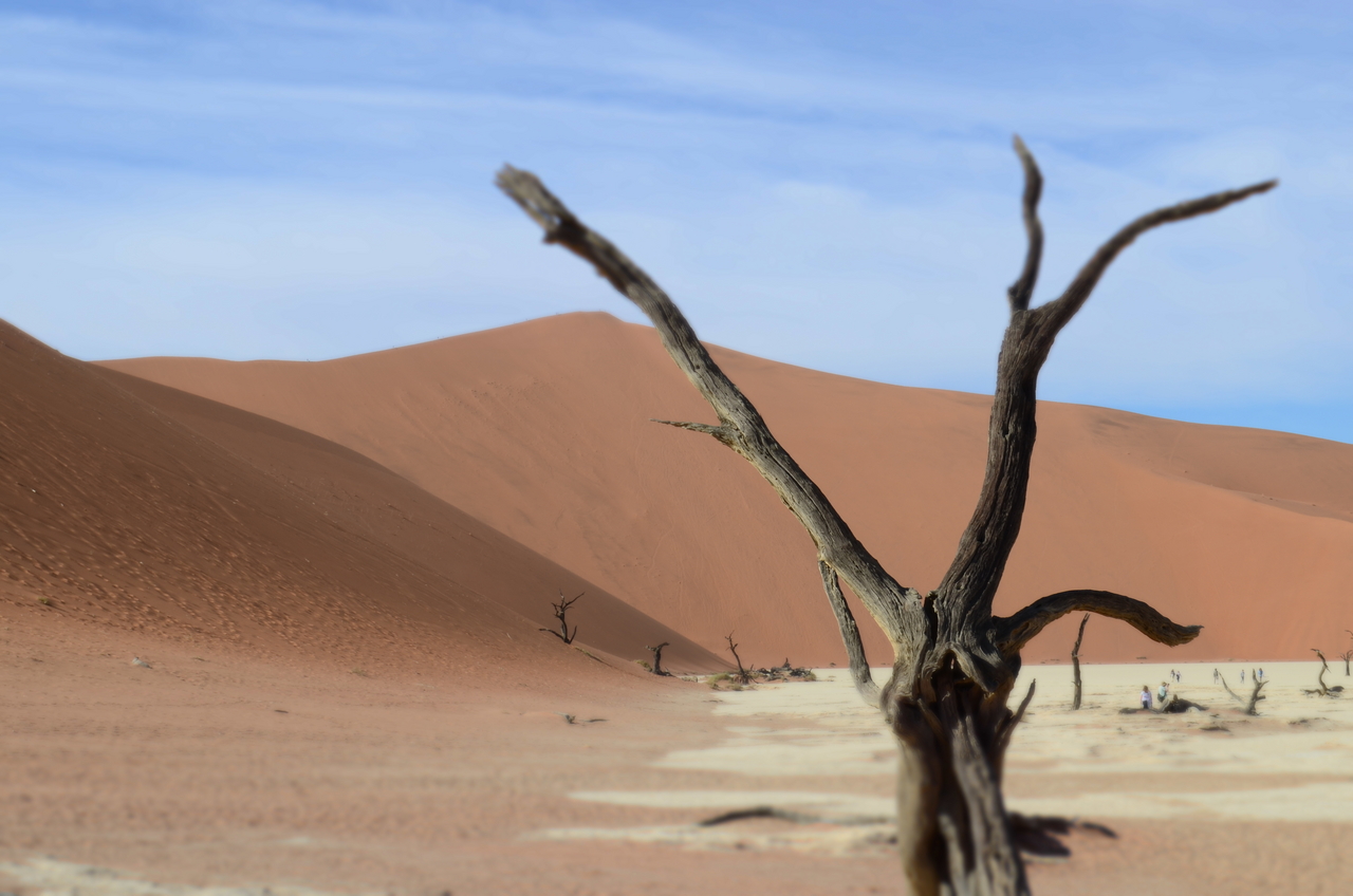 [14497] 2016_06_25_01_00_20_Africa_NIKON_D5100_IMG__00254.jpg