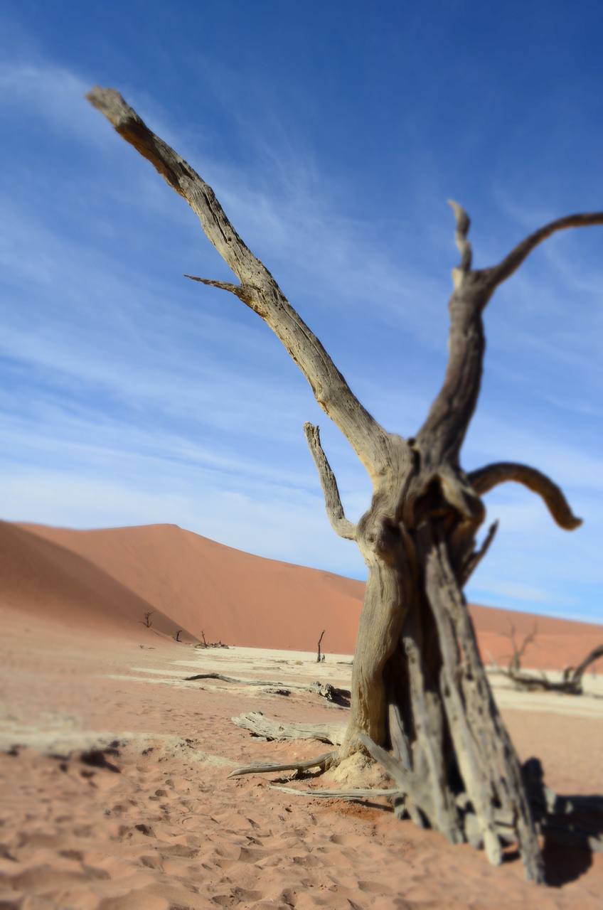[14500] 2016_06_25_01_00_56_Africa_NIKON_D5100_IMG__04877.jpg