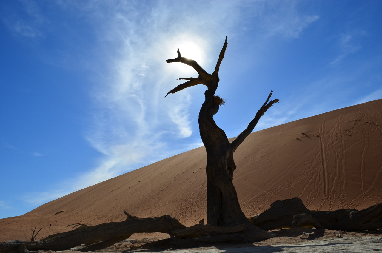 [14519] 2016_06_25_01_07_38_Africa_NIKON_D5100_IMG__00265.jpg