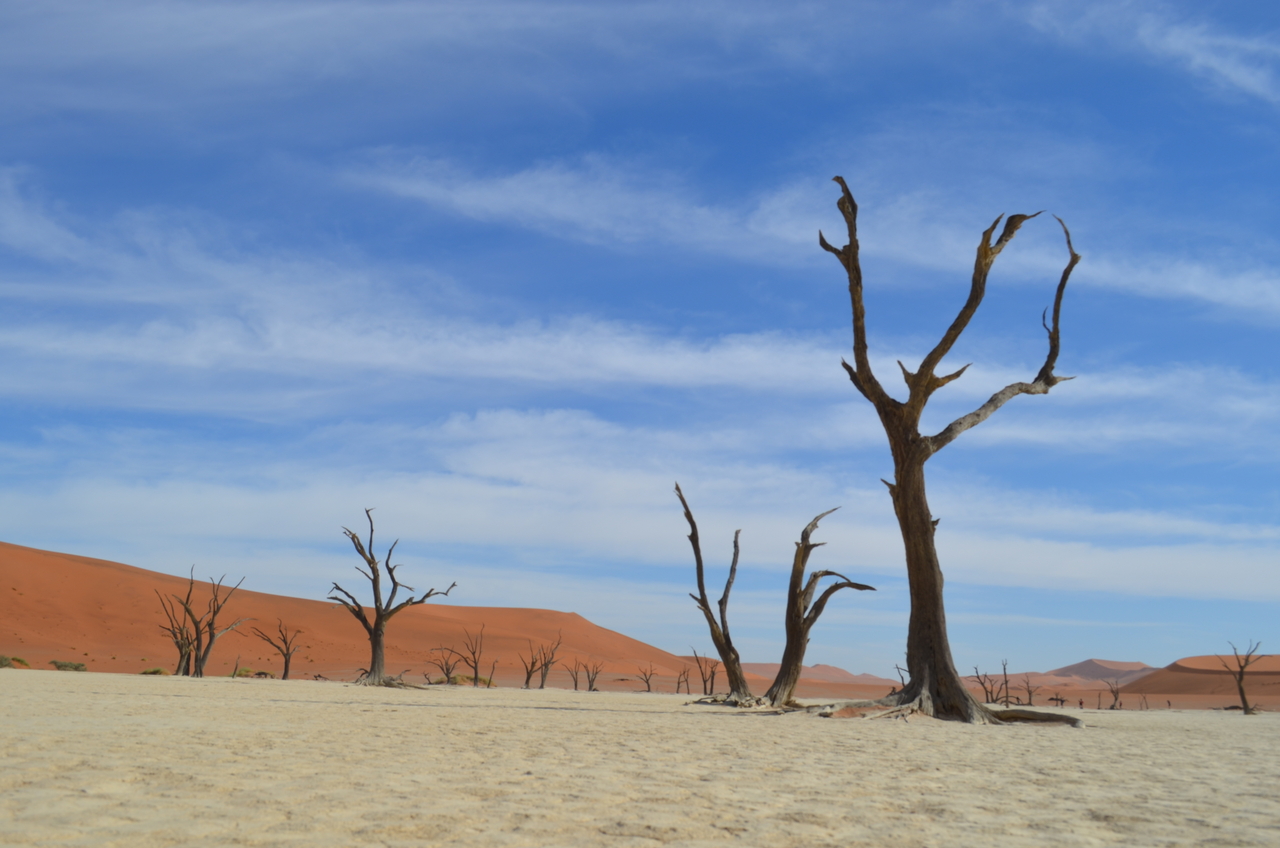 [14580] 2016_06_25_01_26_04_Africa_NIKON_D5100_IMG__04915.jpg