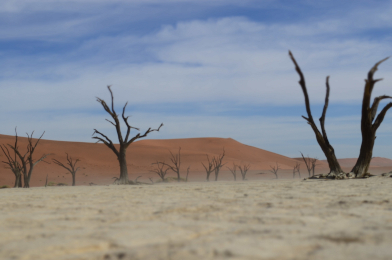 [14586] 2016_06_25_01_26_57_Africa_NIKON_D5100_IMG__04918.jpg