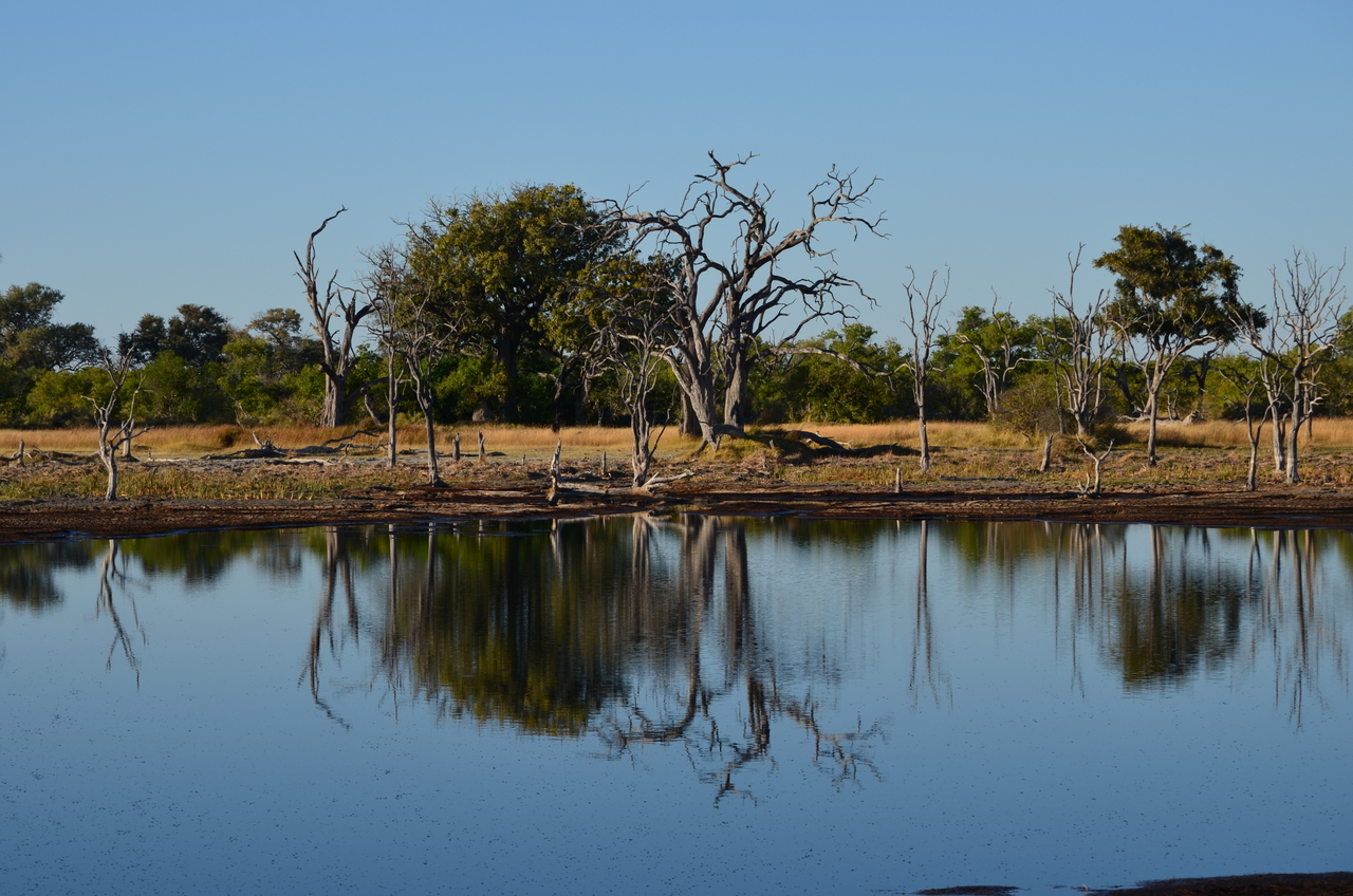 [17357] 2016_06_27_22_14_51_Africa_NIKON_D5100_IMG__00340.jpg