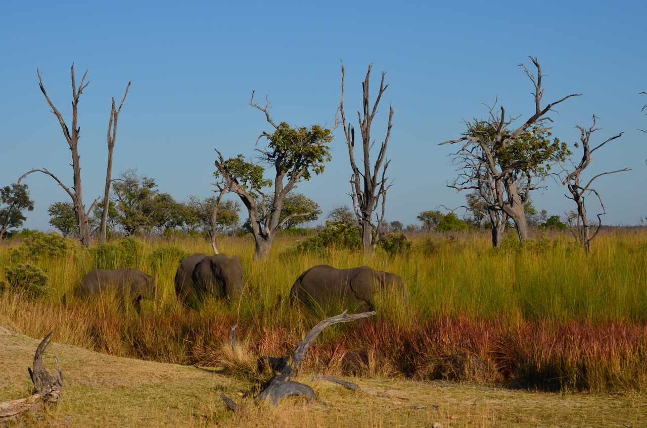 [17362] 2016_06_27_22_26_26_Africa_NIKON_D5100_IMG__04964.jpg