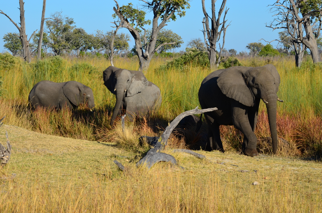 [17372] 2016_06_27_22_29_34_Africa_NIKON_D5100_IMG__04969.jpg