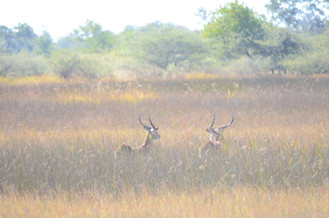 [17421] 2016_06_28_00_04_32_Africa_NIKON_D5100_IMG__00372.jpg