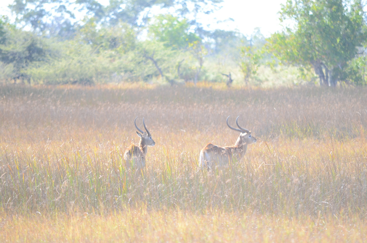 [17423] 2016_06_28_00_05_10_Africa_NIKON_D5100_IMG__00373.jpg