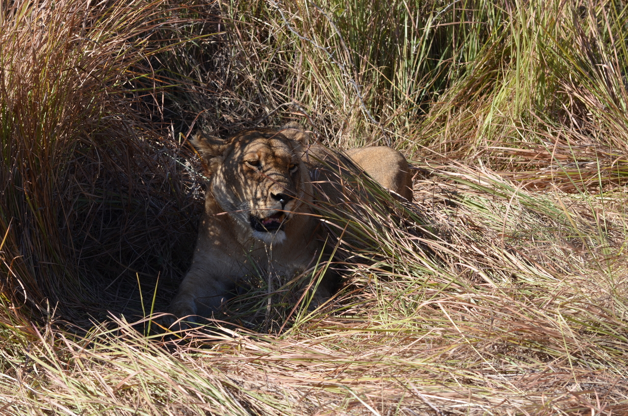 [17430] 2016_06_28_00_13_02_Africa_NIKON_D5100_IMG__04998.jpg