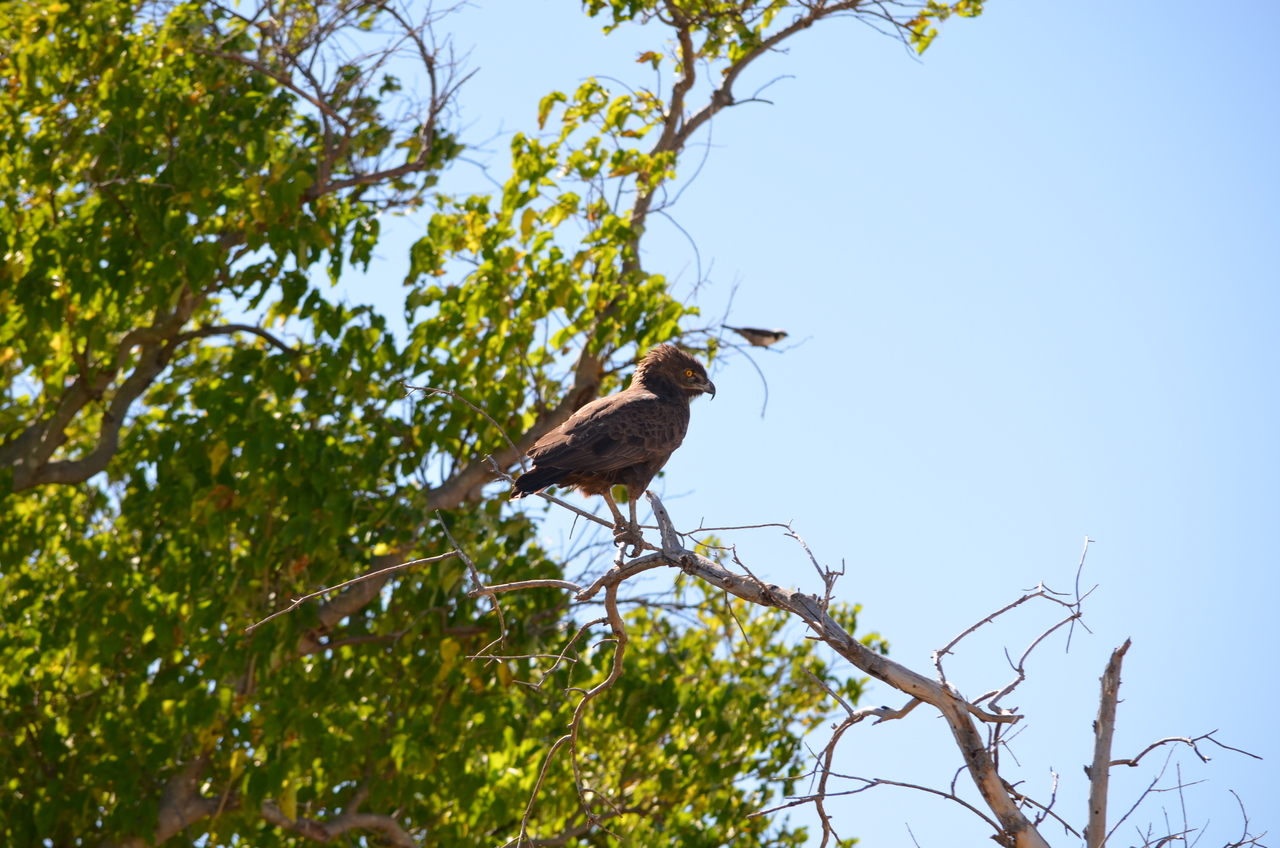 [17546] 2016_06_28_01_10_02_Africa_NIKON_D5100_IMG__05018.jpg