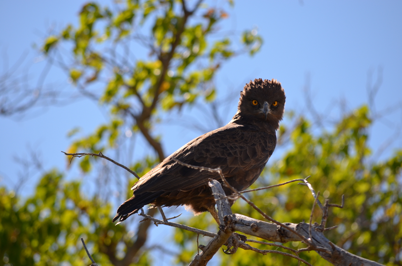 [17550] 2016_06_28_01_10_17_Africa_NIKON_D5100_IMG__05020.jpg