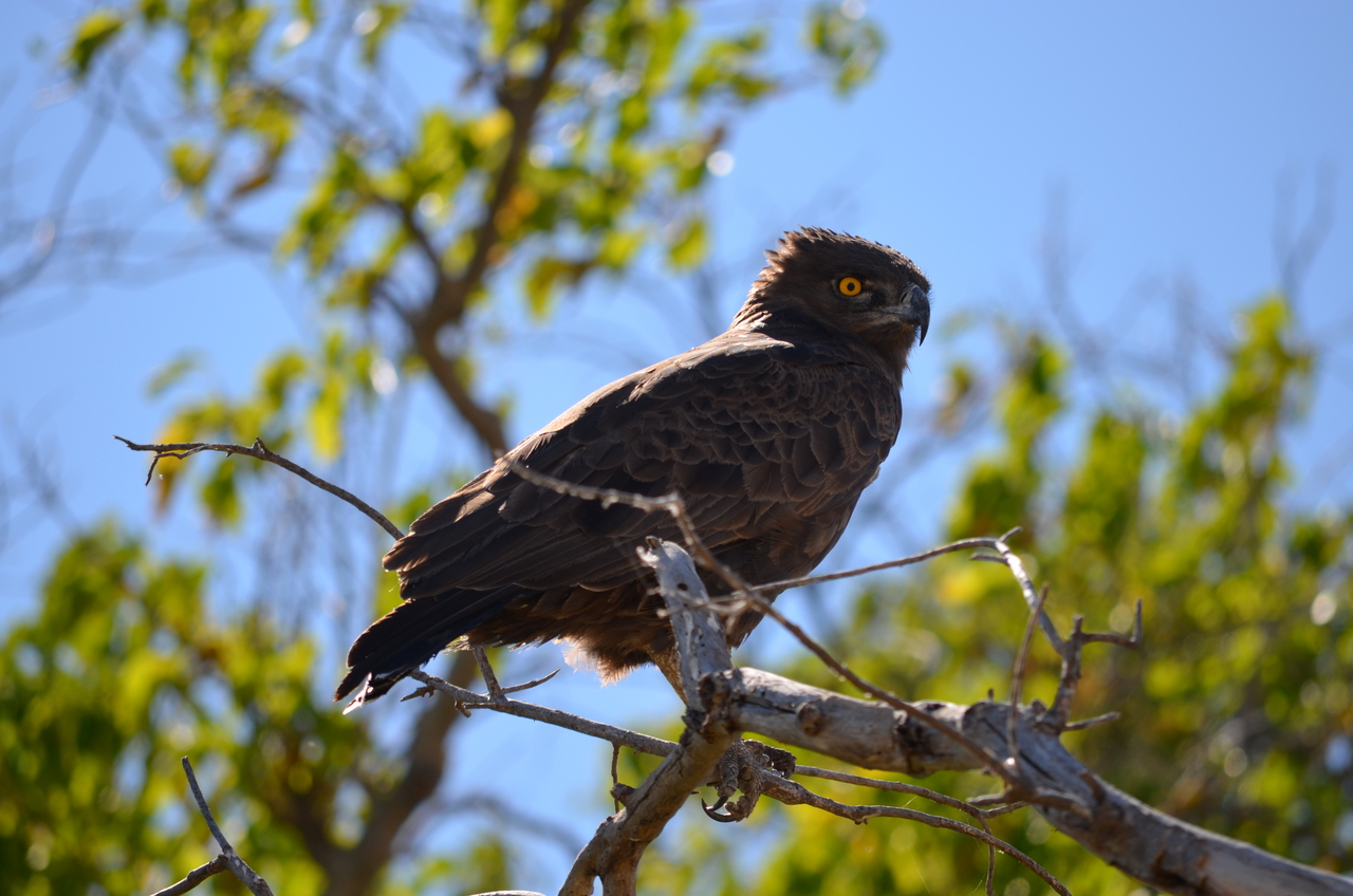[17573] 2016_06_28_01_11_13_Africa_NIKON_D5100_IMG__00401.jpg