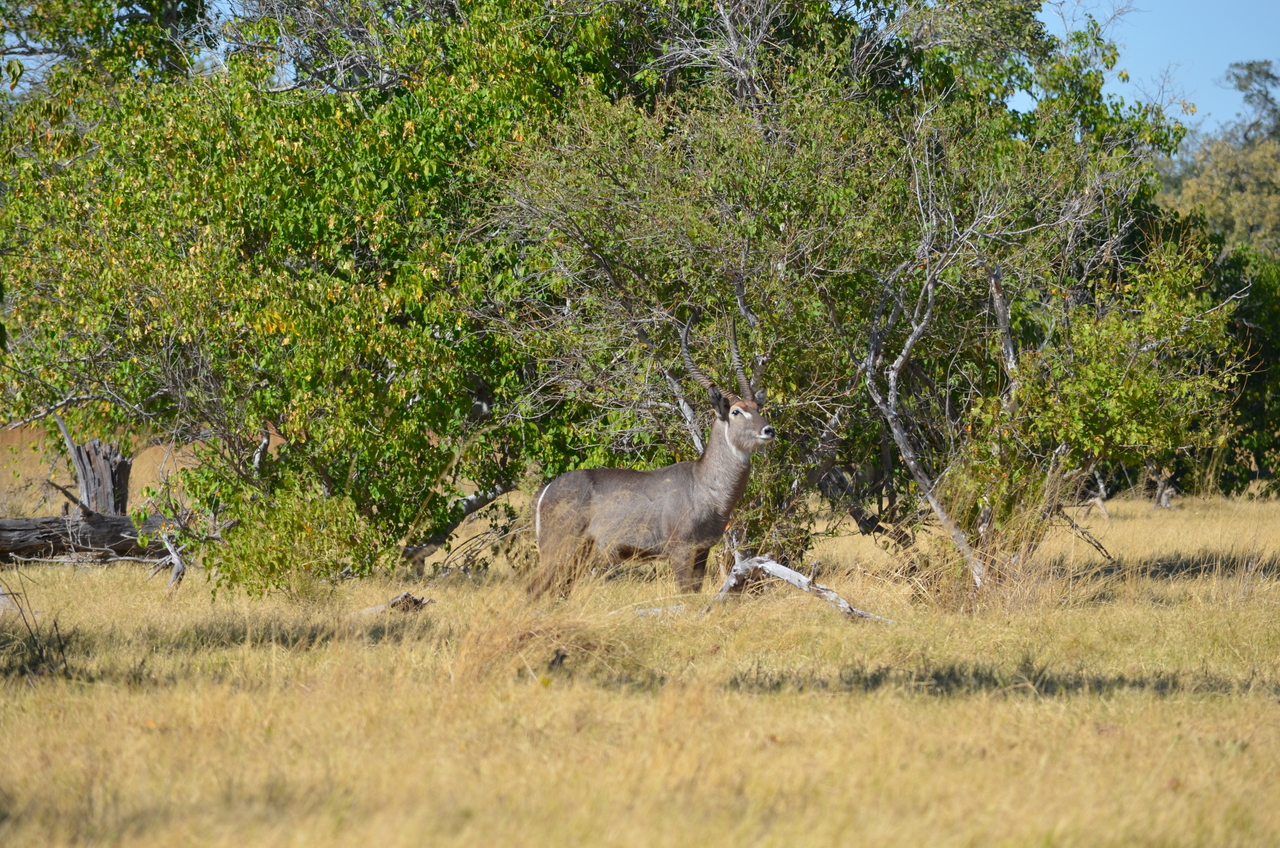 [17690] 2016_06_28_01_20_47_Africa_NIKON_D5100_IMG__00404.jpg
