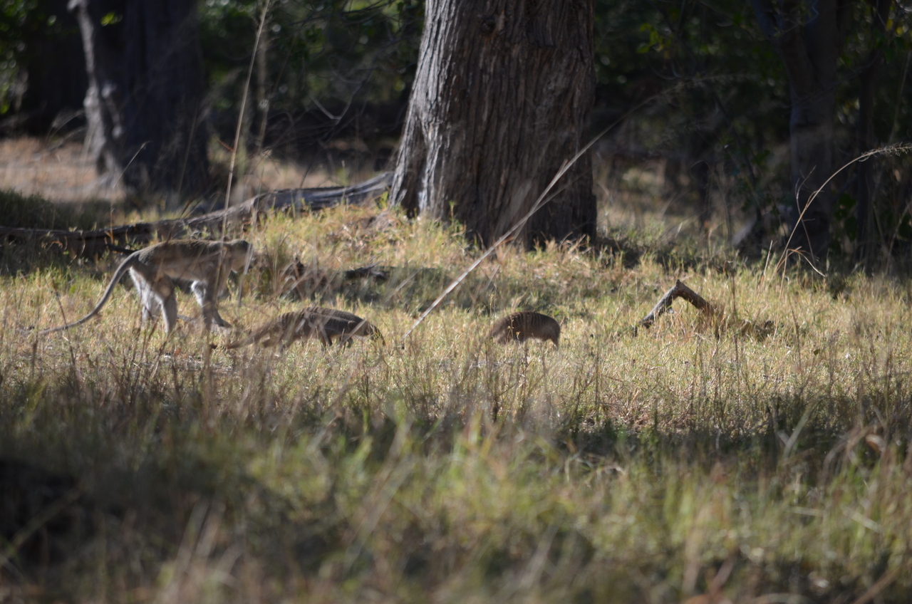 [20476] 2016_06_28_23_21_09_Africa_NIKON_D5100_IMG__05043.jpg