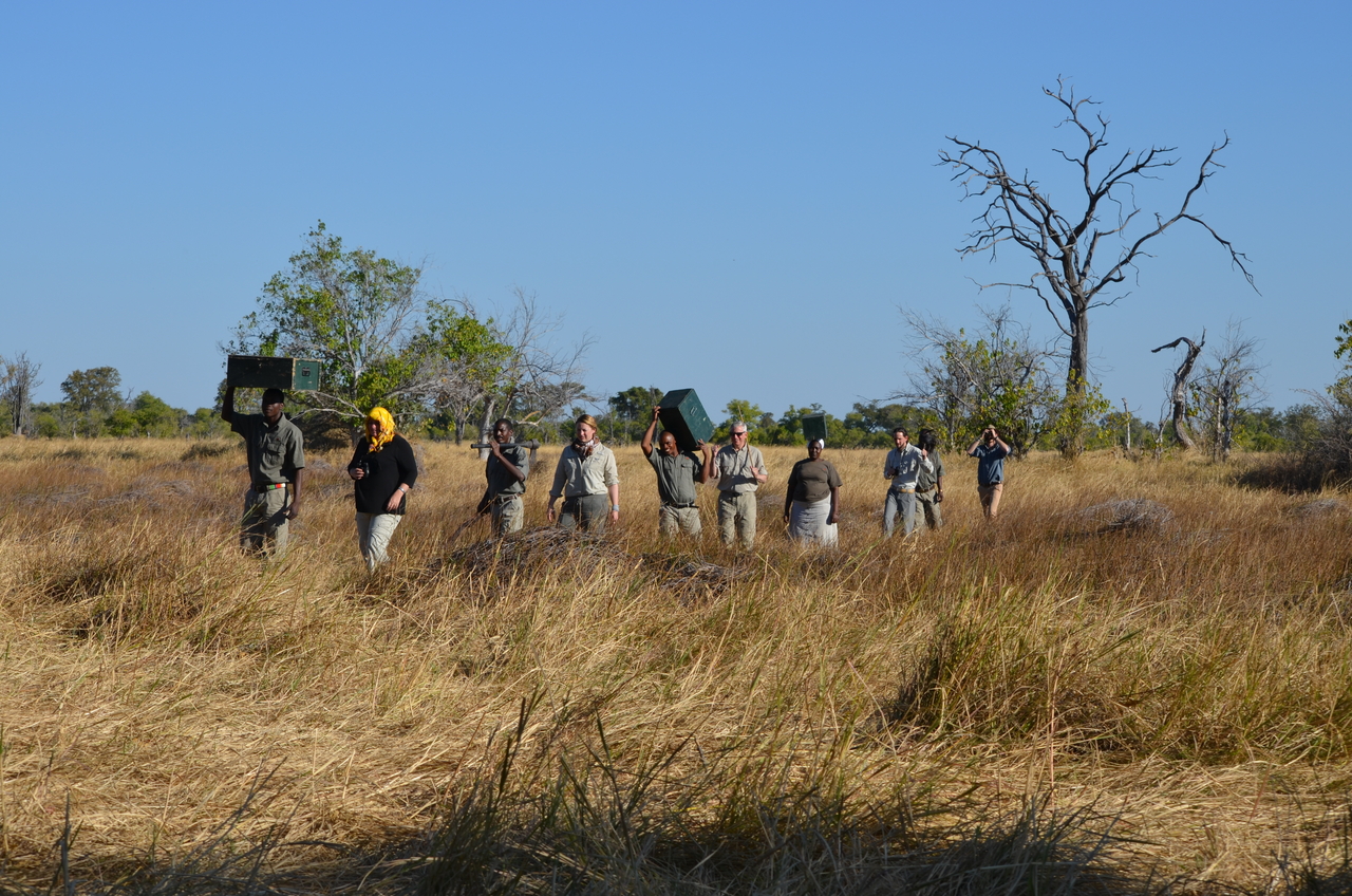 [21256] 2016_06_29_06_07_18_Africa_NIKON_D5100_IMG__00432.jpg