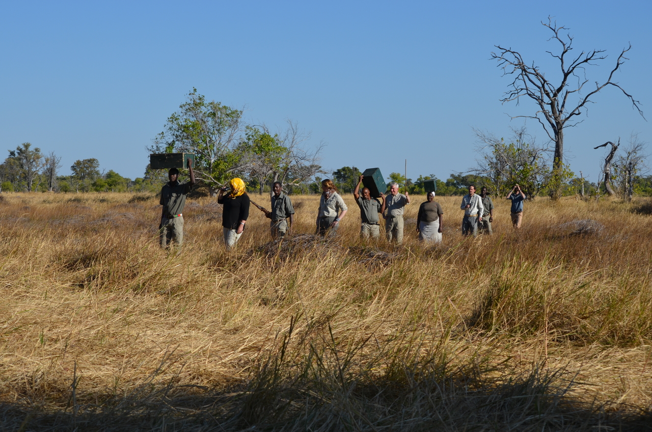 [21260] 2016_06_29_06_08_21_Africa_NIKON_D5100_IMG__00434.jpg