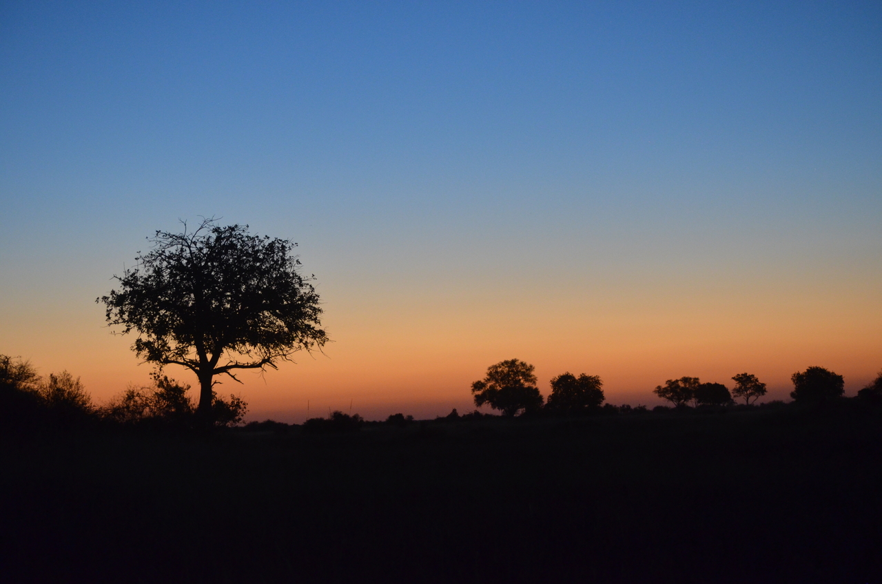 [21438] 2016_06_29_08_38_07_Africa_NIKON_D5100_IMG__05129.jpg