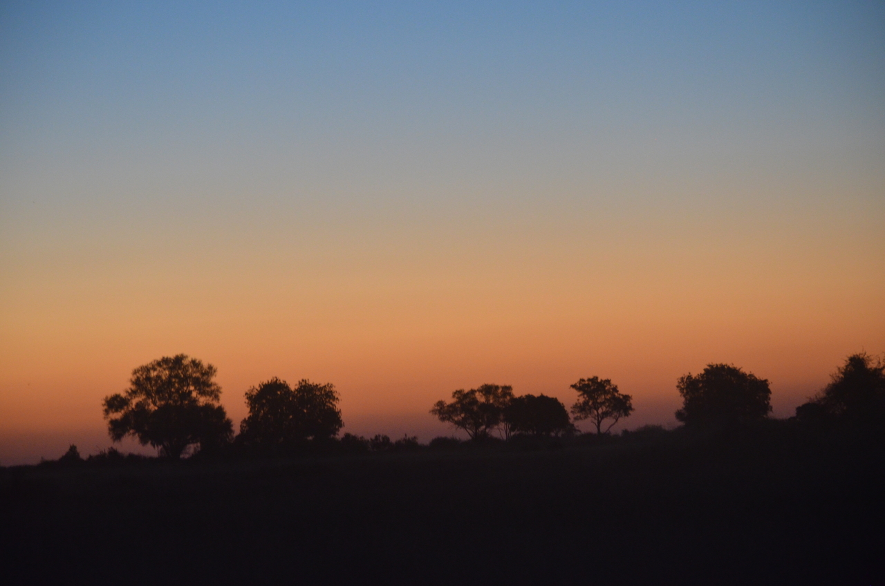 [21439] 2016_06_29_08_38_15_Africa_NIKON_D5100_IMG__00508.jpg